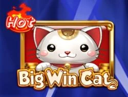 Big Win Cat