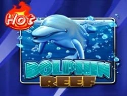 Dolphin Reef