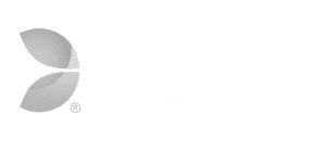 Evolution Gaming Logo Transparant